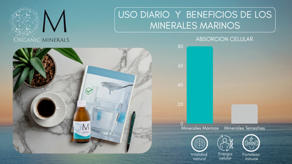 OM Organic Minerals 1000 ml | Ingeniería Mineral y Biohacking de Élite